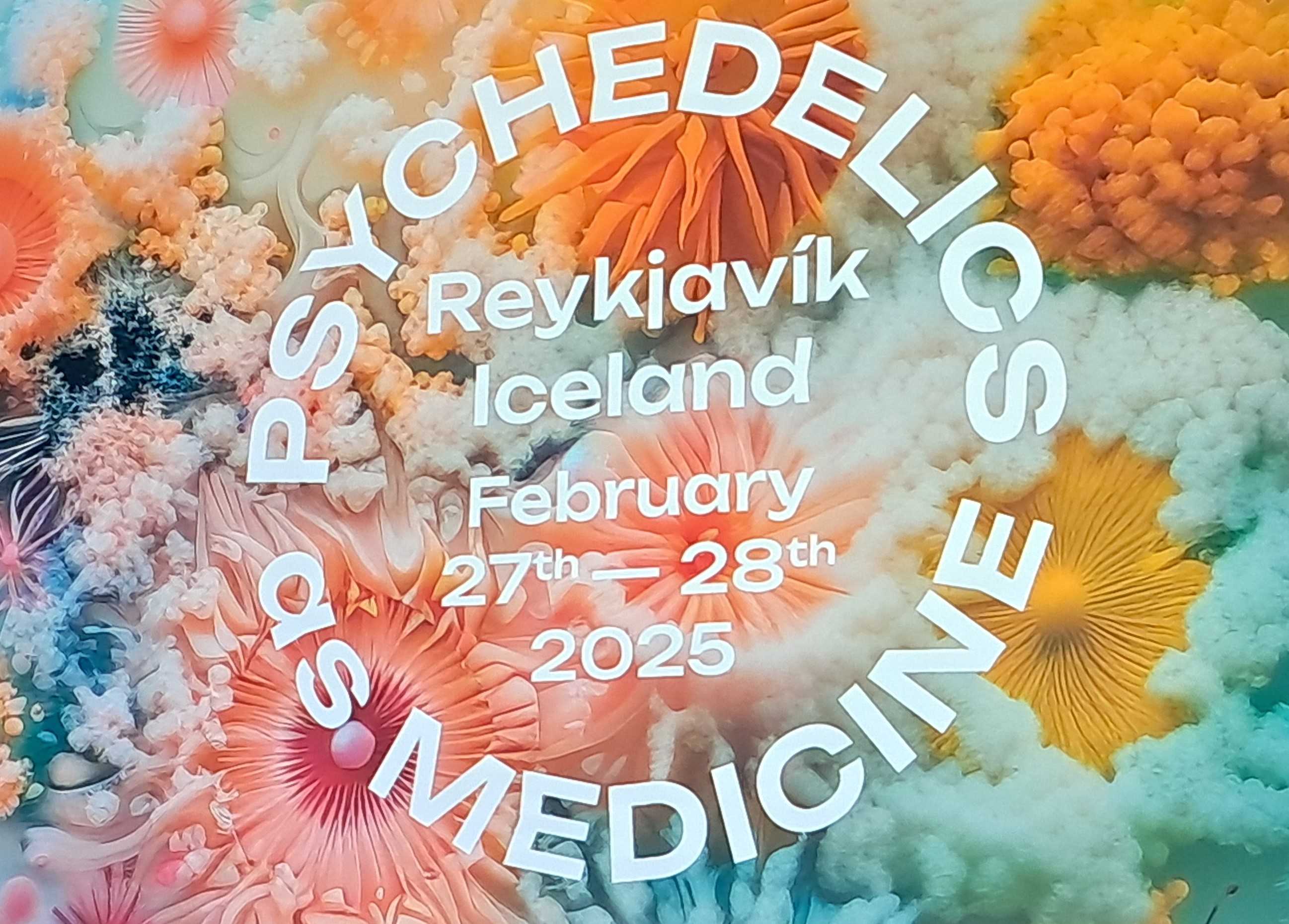 Day 2 at Psychedelics as Medicine conference in Iceland, February 2025 - Featured image